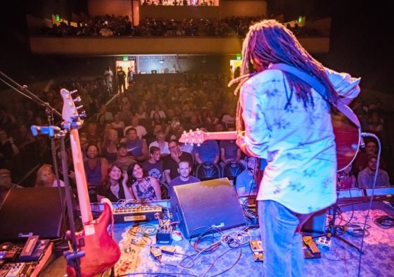 from the stage at rogue theater